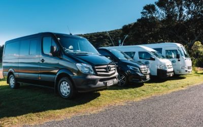 transportations-1.jpg transportations-1.jpg